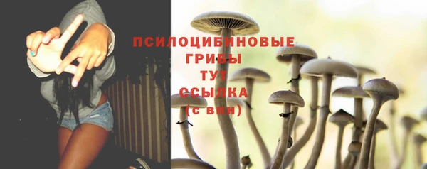 мет Армянск