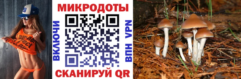 даркнет клад  гидра ссылка  Псилоцибиновые грибы Cubensis  Искитим  закладки 