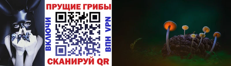 Галлюциногенные грибы мицелий Искитим